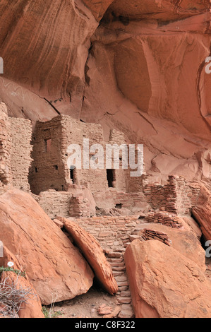 Cliff abitazione Anasazi, rovina, Monticello, casa di fiume, il fiume San Juan, Bluff, Colorado Plateau, Utah, Stati Uniti d'America, Stati Uniti, Ameri Foto Stock