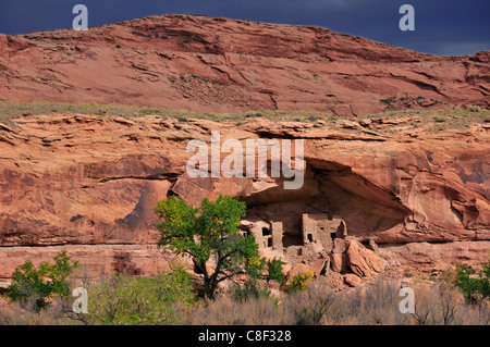 Cliff abitazione Anasazi, rovina, Monticello, casa di fiume, il fiume San Juan, Bluff, Colorado Plateau, Utah, Stati Uniti d'America, Stati Uniti, Ameri Foto Stock