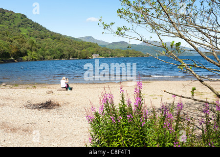 Il bonny, bonny sponde del Loch Lomond al punto Firkin, Argyll & Bute, Scozia Foto Stock