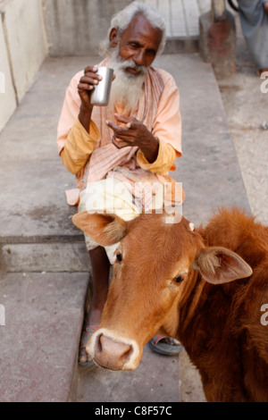 Sadhu e vacca sacra, Rishikesh, Uttarakhand, India Foto Stock