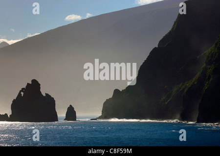 Ribeira ci Janela, Portogallo, Europa, Madera, costa, costa scoscesa, mare, Atlantico, rock, Cliff, pilastro, la luce del mattino Foto Stock