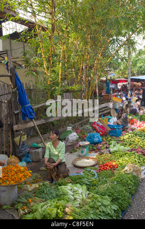 Ortaggi per la vendita sotto un bambù patch, al mercato mattutino, Luang Prabang, Laos Foto Stock