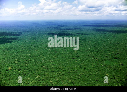 Xingu, Amazon, Brasile. Vista aerea di inviolata foresta di pioggia. Foto Stock