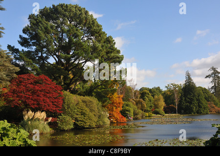 VIVID I colori autunnali attraverso il lago a SHEFFIELD PARK STATION WAGON, EAST SUSSEX. Foto Stock