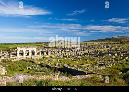 Il Marocco, Africa Settentrionale, Africa romana, rovine, Voulibilis, antichità, mondo antico, Foto Stock