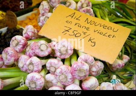 Aglio fresco per la vendita al mercato settimanale di Uzes, Provenza, Francia Foto Stock