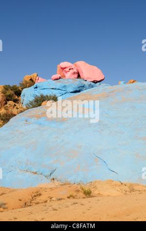 Dipinto di rocce vicino Tafraoute, Souss-Massa-Draa Regione, Marocco Foto Stock