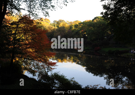 Autunno soleggiata vista la mattina rosso acero giapponese e alberi autunnali riflessioni, acque ancora lo stagno, Central Park South, New York Foto Stock