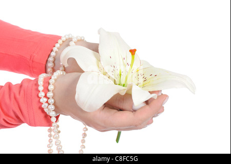 Fiore in una bellissima femmina di palme. Foto Stock