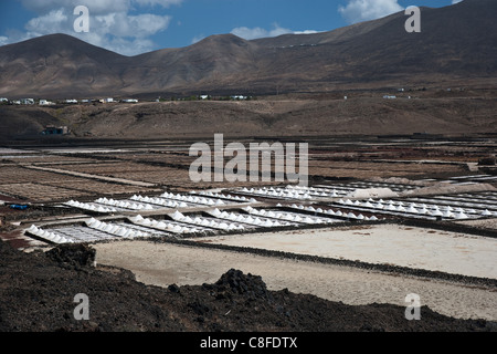 Janubio dell Atlantico, Spagna, Europa, Isole Canarie, isola, costa, paesaggi, agricoltura, Lanzarote, mare, sale marino, minerale, producti Foto Stock