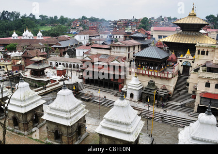 Tempio di Pashupatinath, Sito Patrimonio Mondiale dell'UNESCO, Kathmandu, Bagmati, Regione centrale, Nepal Foto Stock