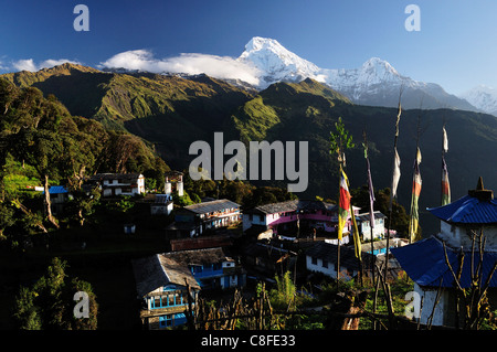 Annapurna sud sulla sinistra e Hiunchuli sulla destra, Annapurna Area di Conservazione, Dhawalagiri (Dhaulagiri, Pashchimanchal, Nepal Foto Stock