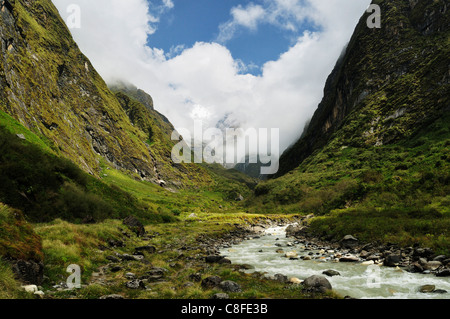 Modi Khola Valley, Santuario di Annapurna, Annapurna Area di Conservazione, Gandaki, Regione Occidentale (Pashchimanchal, Nepal Foto Stock