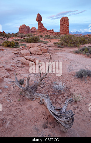 Roccia equilibrata al tramonto, il Parco Nazionale di Arches, Utah, Stati Uniti d'America Foto Stock