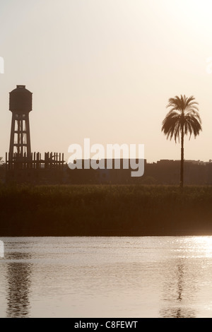 Una sezione del fiume Nilo banca con il sole che tramonta dietro a un albero di palma e water tower Creazione di colori smorzati riflessa in acqua calma Foto Stock