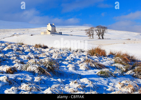 Di sera, al tramonto, visualizzazione albero, montagna, alberi, Cairngorms, altopiani, highland, pino, Loch, Loch Mallachie, Mallachie, nazionale par Foto Stock