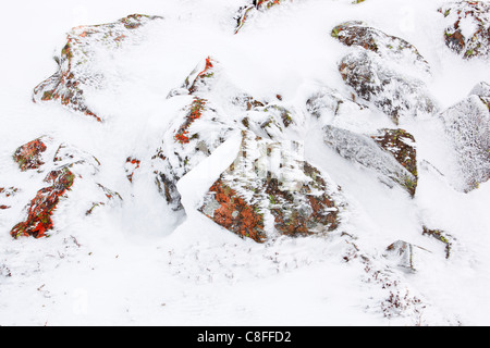 Il taglio, parte, montagna, monti Cairngorms, dettaglio, ghiaccio, ghiaccio-cristallo, ice-cristalli, Cliff, rock, Cliff, licheni, montagne, Foto Stock