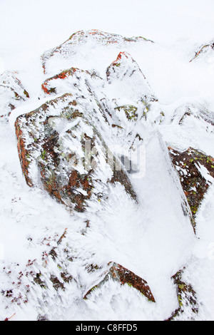 Il taglio, parte, montagna, monti Cairngorms, dettaglio, ghiaccio, ghiaccio-cristallo, ice-cristalli, Cliff, rock, Cliff, licheni, montagne, Foto Stock