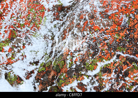 Il taglio, parte, montagna, monti Cairngorms, dettaglio, ghiaccio, ghiaccio-cristallo, ice-cristalli, Cliff, rock, Cliff, licheni, montagne, Foto Stock