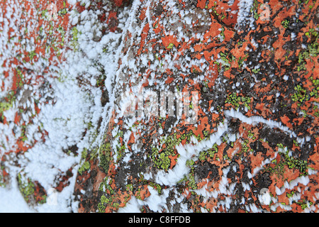 Il taglio, parte, montagna, monti Cairngorms, dettaglio, ghiaccio, ghiaccio-cristallo, ice-cristalli, Cliff, rock, Cliff, licheni, montagne, Foto Stock