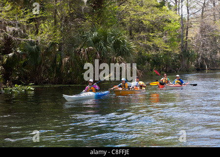 Molti kayakers e una canoa sul fiume d'argento vicino a Silver Springs State Park in Ocala Florida Foto Stock