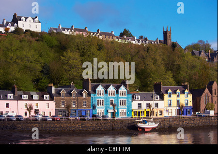 Case vivacemente colorate nel porto di pesca di Tobermory, Isle of Mull, Ebridi Interne, Scotland, Regno Unito Foto Stock