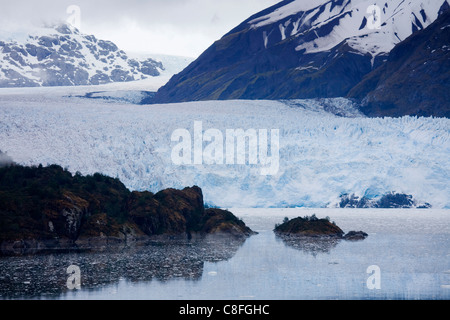 Ghiacciaio Amalia (Skua Glacie) in O'Higgins Parco Nazionale,Patagonia meridionale del campo di ghiaccio, Cile Foto Stock