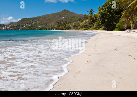 Friendship Bay beach, Bequia, Saint Vincent e Grenadine, isole Windward, West Indies, dei Caraibi e America centrale Foto Stock