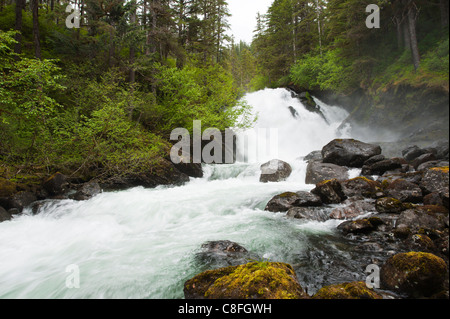 Cascata Creek, Thomas Bay regione del sud-est Alaska, Alaska, Stati Uniti d'America Foto Stock