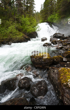 Cascata Creek, Thomas Bay regione del sud-est Alaska, Alaska, Stati Uniti d'America Foto Stock