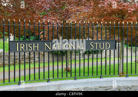 Porta alla Irish National Stud Foto Stock