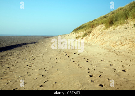 Spiaggia di sedimenti in corrispondenza della punta della testa Spurn allo spiedo, Yorkshire, Inghilterra Foto Stock