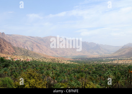 Oasi nel Ameln Valley vicino a Tafraoute, Regione Anti-Atlas, Marocco Foto Stock