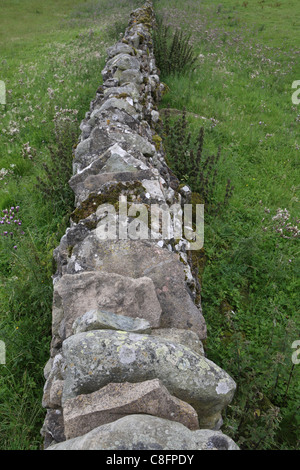 Asciugare la parete in pietra, nei pressi di Keld, North Yorkshire. Keld è una sosta sul Alfred Wainright's Coast to Coast a piedi. Foto Stock