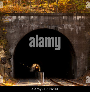 Il vecchio treno a vapore tirando in un tunnel eruttando vapore e fumo Foto Stock