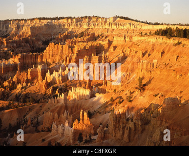 Punto di Bryce, Parco Nazionale di Bryce Canyon, Garfield County, Utah, Stati Uniti d'America Foto Stock