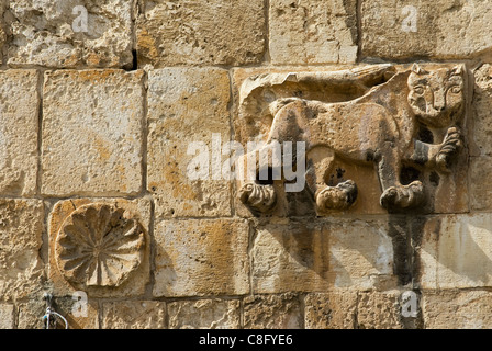 Stemma araldico di Mamluk Sultan Baybars a forma di leone Anche sulla porta di Santo Stefano o del Leone del XVI secolo Bab al-Asbat nel muro ottomano situato a est Bordo della città vecchia di Gerusalemme Israele Foto Stock