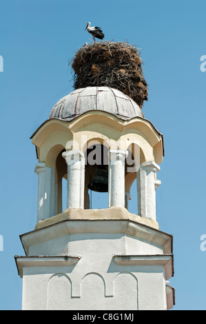 Cicogna nel nido sulla cupola di una chiesa bianca Foto Stock