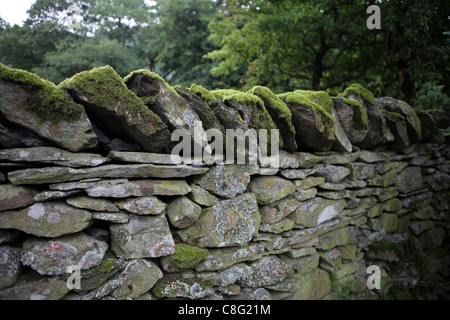 Asciugare la parete in pietra, nei pressi di Keld, North Yorkshire. Keld è una sosta sul Alfred Wainright's Coast to Coast a piedi. Foto Stock