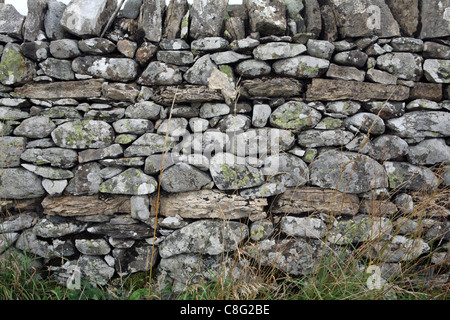 Asciugare la parete in pietra, nei pressi di Keld, North Yorkshire. Keld è una sosta sul Alfred Wainright's Coast to Coast a piedi. Foto Stock