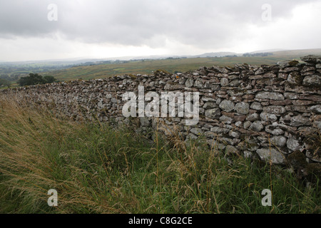 Asciugare la parete in pietra, nei pressi di Keld, North Yorkshire. Keld è una sosta sul Alfred Wainright's Coast to Coast a piedi. Foto Stock