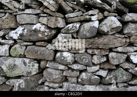 Asciugare la parete in pietra, nei pressi di Keld, North Yorkshire. Keld è una sosta sul Alfred Wainright's Coast to Coast a piedi. Foto Stock