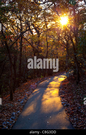 Luce della sera dalla sommità del brasstown bald in Georgia. Foto Stock