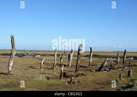 Vecchio weathered posti di Thornham Harbour, Norfolk, Inghilterra, Regno Unito Foto Stock