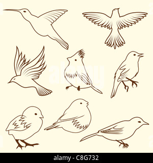 Set di differnet schizzo bird. Illustrazione Vettoriale design per l'uso. Foto Stock