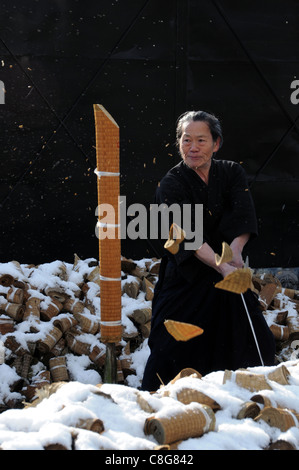 Samurai con la spada. Il Samurai fighter Foto Stock