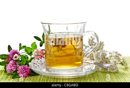 tè alle erbe Foto Stock