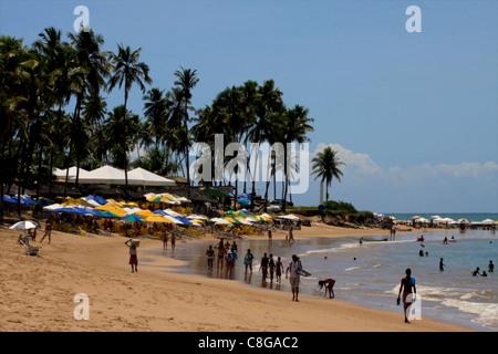 La spiaggia nella zona protetta di Praia do Forte, sulla costa, vicino a Salvador de Bahia, Brasile Foto Stock