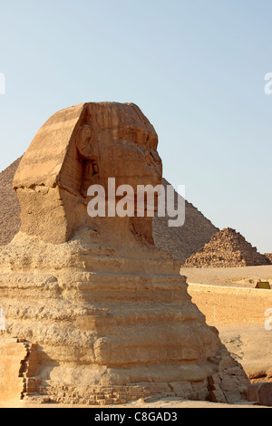 Il Sphynx, Giza Foto Stock