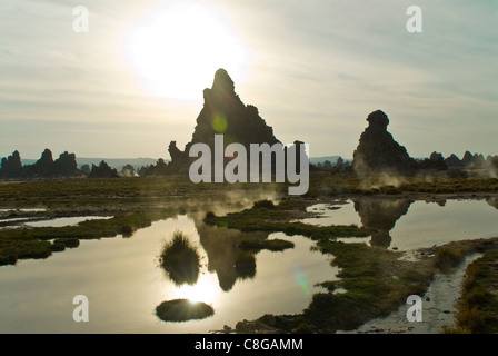 Lac Abbe (Lago Abhe Bad) con i suoi camini, la Repubblica di Gibuti Foto Stock